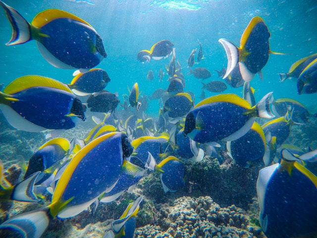 初めての海外旅行でおすすめの国10選！目的別に選ぶポイントや注意点を詳しく解説
