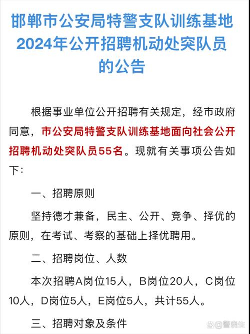 2023山东烟台招远市公安局招聘乡镇道路交通安全管理员公告（37人）
